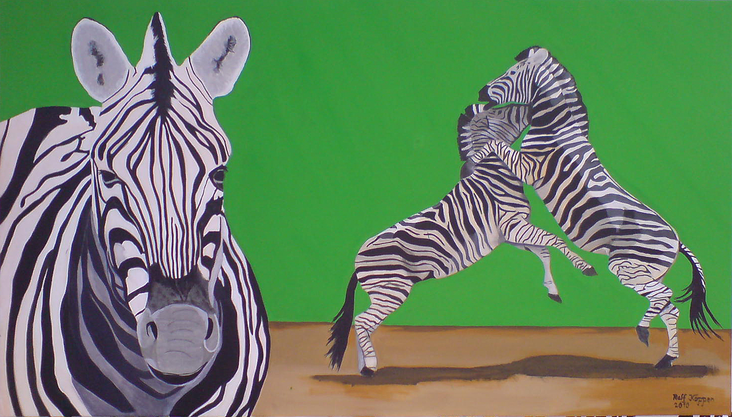 Zebras (Hohe Aufl&ouml;sung)